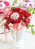 【ベルシック】 プリザーブドフラワー　エレガンスローズ　レッド 枯れないお花　お祝・お見舞い　クリアケース付　　＜即日出荷＞＜送料無料（一部地域を除き）＞