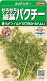 サラサラ細葉パクチー(コリアンダー) ドラゴン