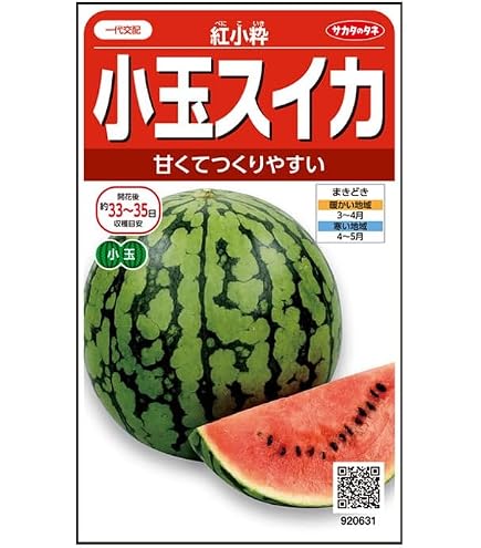 Amazon.co.jp: 接木 野菜 苗 ひとりじめ ナノ 極小種子 赤小玉すいか