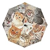 MAPOLO Many Cats Print Windproof Rain Travel Canopy 3 Folds Auto Open Close Button Umbrella