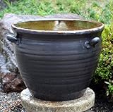 【重蔵窯】利休信楽水瓶 M115雨流し