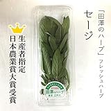 セージ フレッシュハーブ 生 20g 生産者指定 田澤のハーブ 築地直送 日本農業賞大賞受賞！【セージ】食用ハーブ