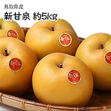 【鳥取県産】【翌日お届け】秀品 新甘泉 約5kg 梨 赤梨 大きさお任せ 【鳥取県産】【翌日お届け】秀品 新甘泉 約5kg 梨 赤梨 大きさお任せ