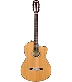 Amazon | Ibanez アイバニーズ 抱えやすいジャストサイズのエレアコ