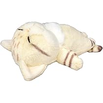 51aNpXOPj1L._AC_UL210_SR210,