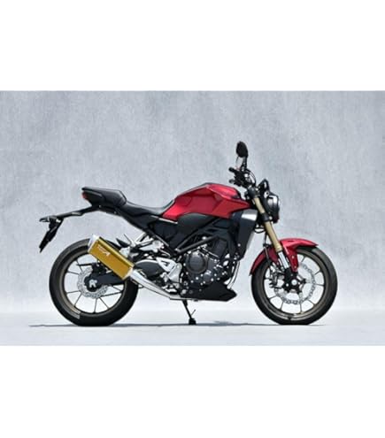 CB250R ヤマモトレーシング spec-Aフルエキマフラー Amazon.co.jp: ヤマモトレーシング(YAMAMOTO) 22～ CB250R SPEC-A