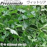 イタリアン パセリ ヴィットリア 9cnポット苗