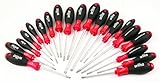 Wiha 30299 Pro Tool Set with SoftFinish Grip, 20 Piece [並行輸入品]