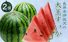 【2025年7月～8月発送分先行受付】長井市伊佐沢の大玉すいか約8～11kg×2玉_H054(R7)