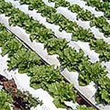 【個人宅配送不可・北海道お届け不可】【12本セット】 イワタニ 菜園用 リバースマルチ白黒 0.02mm厚×95cm×50m 日A代不