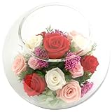 アートフォーシーズン ML レッド＆ピンク プリザーブドフラワー