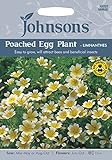 JOFL 英国ジョンソンズシード Poached Egg Plant-Limnanthes ポーチド・エッグ・プラント（リムナンテス）