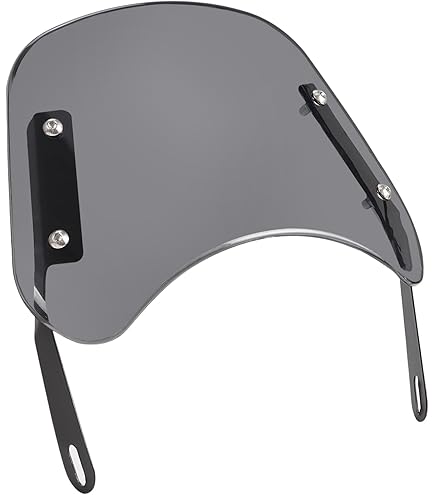 TZR250（1KT）スクリーン TZR250 1KT 全年式 スクリーン クリア 風防 防風 風よけ 雨よけ