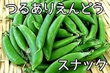 【生産農場直送】 エンドウ苗 【つるありスナック】エンドウ 葉菜苗 4株入りパック プロ農家も使う葉菜苗 野菜苗 ガーデニング 家庭菜園