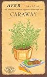 【種子】キャラウェイ [0823]
