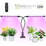 植物育成ライト 最新型19W 38個LED電球 タイミング機能付き 自動的にオン/オフ 360度調節可能 10段階調光モード 3つ照明モード クリップ式 水槽照明 観葉植物 園芸に適用 室内栽培ランプ