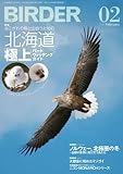 BIRDER (バーダー)2014年 02月号 [雑誌]