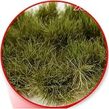 GREEN STUFF WORLD グリーンスタッフワールド 草むら 長さ22mm ドライグリーン 22個入 ホビー用素材 GSWD-11449
