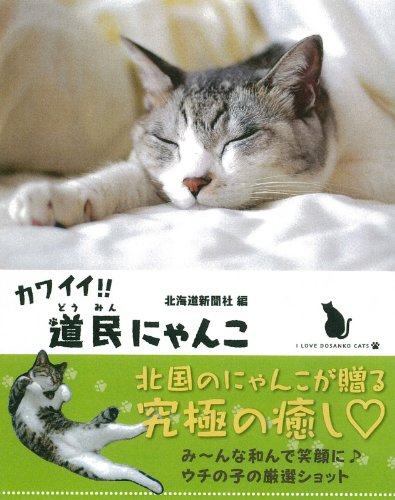 カワイイ!!道民にゃんこ