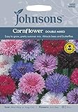 JOFL 英国ジョンソンシード Cornflower Double Mxed コーンフラワー・ダブル・ミックス