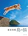 岩合光昭 島の猫