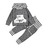 Tovadoo 子供服 ベビー服 男の子 パーカー+ズボン 秋冬 長袖 恐竜柄 カッコイイ 兄弟揃い 部屋着 保育園 旅行 プレゼント