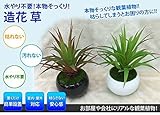 【インテリア】 リアル 観葉植物 癒される 浄化 リラックス (1番)