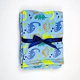 Baby Gear Plush Velboa Ultra Soft Baby Boys Blanket 30 x 40, Blue Dino Dudes by Baby Gear