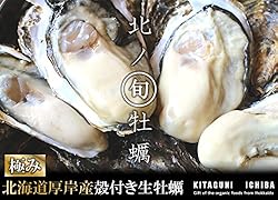 【北海道厚岸産 生牡蠣 殻付き 希少な3Lサイズ 10個 (150g～200g/1個) 軍手・カキナイフ付】 満天☆青空レストランでご紹介された厚岸の極上牡蠣！ 世界中の食通をうならせる海のミルク。創業70年を誇る厚岸の牡蠣漁師より直送します。時にはギフトに、時には自分へのご褒美をちょっと贅沢に。 (10個)