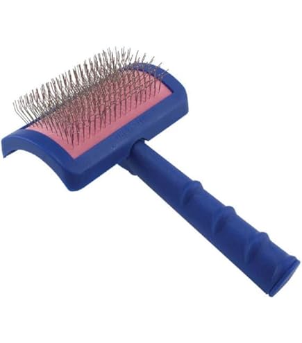 Amazon.co.jp: BIOGANCE 獣毛ブラシ 化粧箱入り 高級ナッツの木使用