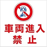 【車両進入禁止 看板】通り抜け禁止 私有地につき 私道 立ち入り禁止 立入禁止 進入禁止 防犯カメラ作動中 監視カメラ 敷地内 屋外 防水 プレート 板 プレート看板 プレートタイ表示 フェンス 柵 標示 注意 禁止 警告