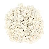 B Blesiya 指サック　静電気防止　使い捨て　高品質ラテックス製　指保護　安全性　約500個入り　全2色 - 白