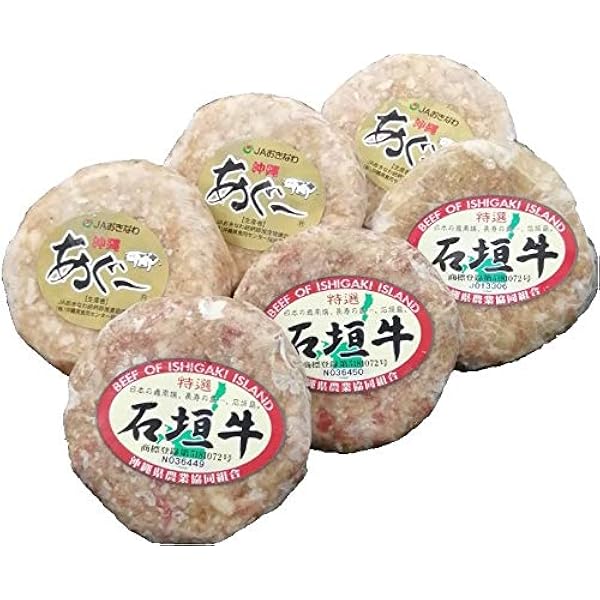 momo石垣牛ハンバーグ10個&amp;冷凍パインセット momo様専用石垣牛ハンバーグ10個&冷凍パインセットの通販 by