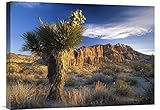 グローバルギャラリーJoshua Tree At Red Rock状態公園カリフォルニア壁アート 24W x 18H in. ブルー GCS-396232-1824-142