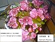宮野蹴鞠の詐欺られ【生き地獄】エッセイ『半生振り返りからの復活』