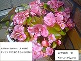 宮野蹴鞠の詐欺られ【生き地獄】エッセイ『半生振り返りからの復活』