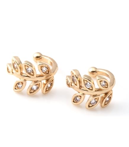 Amazon.co.jp: 大塚ひろみ 広美七宝 ヒロミアート イヤリング 純銀製