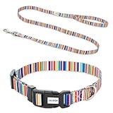 [LaLUCA GOODS] 犬 首輪 小型犬 中型犬 大型犬 リード セット おしゃれ かわいい 装着簡単 ワンタッチ着脱 速乾 水洗い レインボー S