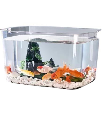Amazon | Asdays 金魚鉢 水槽 金魚 メダカ水槽 飼育 大容量