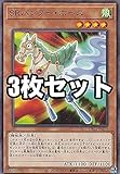 【3枚セット】遊戯王 DP25-JP013 ＳＲバンブー・ホース (日本語版 ノーマル) デュエリストパック - 疾風のデュエリスト編 -