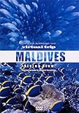 virtual trip MALDIVES Diving View[�ቿ�i��]
