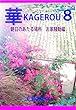 華KAGEROU　８: 朝日のあたる場所　お家騒動編