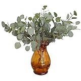 3 Pcs人工シルバーDollarユーカリリーフスプレーinグリーン25.5 CM Tall人工Greenery Holiday GreensクリスマスGreenery free size グリーン 
