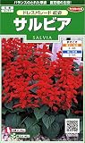 サカタのタネ 実咲花6402 サルビア ドレスパレード紅姿 00906402 10袋セット