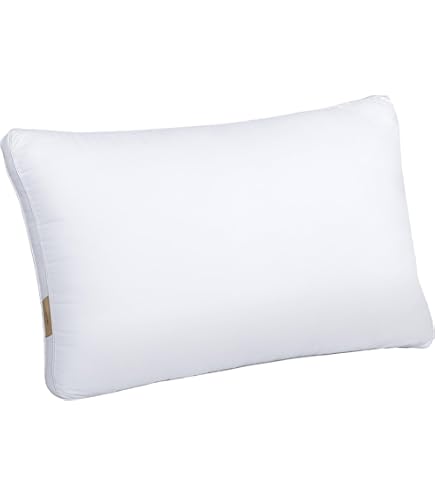 Amazon｜Supreme(シュプリーム)/Overfiend Pillow[Black]2015A/W 前田