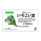 フタバ種苗 うちな～交配 いろこい菜（葉菜） 小袋詰(2ml)