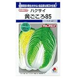 生理障害に強い!　黄ごころ85(タキイ交配)　数量:約1.2ml