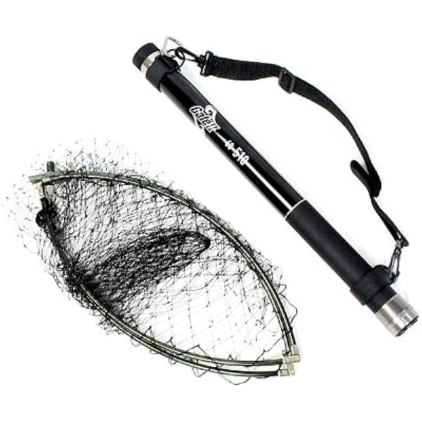 シェアーズ Shares Solfiesta ソルフィエスタ 玉の柄 グラス小継玉網set Gale ゲイル Ii 60 510 シェアーズ Shares 玉の柄 Amazon