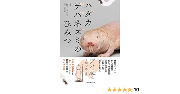 ハダカデバネズミのひみつ 岡ノ谷 一夫 本 通販 Amazon