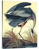 グローバルギャラリーGreat Blue Heron壁アート 30W x 40H in. オレンジ GCS-132742-3040-142